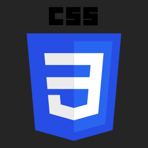 CSS logo